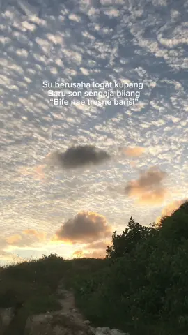 Son Sengaja🤣#amarasipride🏝🔥kupangntt💯 #fyppppppppppppppppppppppp #amarasipride🌻🏝❤ #viralvideotiktok 