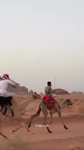 ماشاءالله  #هجن_الشمال #اكسبلورexplore 