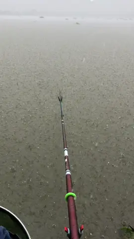 Được buổi đi câu thì mưa như thác đổ vậy.#xuhuớng #xuhuongtiktok2025 #đammecau🐟🐟🐟 #dammecauca #nhacthinhhanhtiktok 