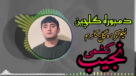 najib kishmi New لیلی فدای تو گردم