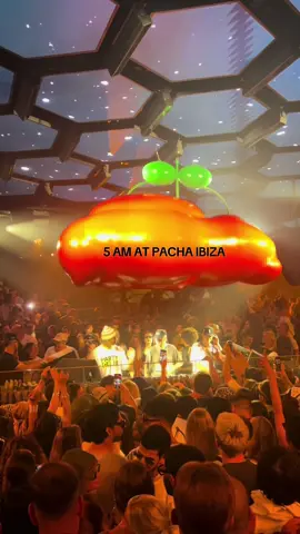 Every night #keinemusik #ibiza #pachaibiza #fyp @Keinemusik @Two Cuzzos 