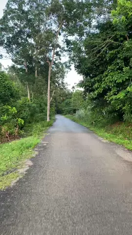 andai waktu blh d putar akn putar ke masa kcilku.🥹 #kampunghalaman  #suasanakampung  #anakkampung  #ketenangan  #fyppppppppppppppppppppppp 
