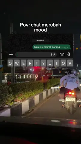 binatang ketabrak karang #CapCut #fyp #fyppppppppppppppppppppppp #tranding #memestiktok 