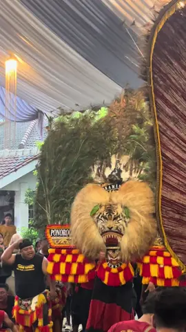 monggo mentahan e😇🙏🏻#fyp #reog #storyreog #reogponorogo #boloreog #jathilcantik #jowopride #ponorogo_kota_reog #ponorogo24jam 