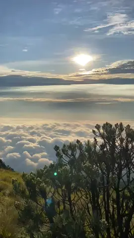 Mengejar matahari terbit dan mengabadikan kenangan di puncak gunung.  Thank you, Merbabu. #mountain #gunungmerbabu #pendakigunung #merbabu3142mdpl 
