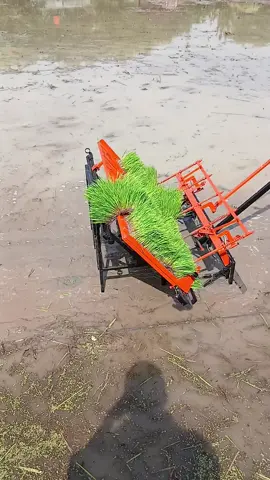 alat tanam padi #dapok #padi #fyp #petanimodern #viral #petaniindonesia🇮🇩🇮🇩🇮🇩🌿🌿 #alsintan #transplanter #transplantermanual 