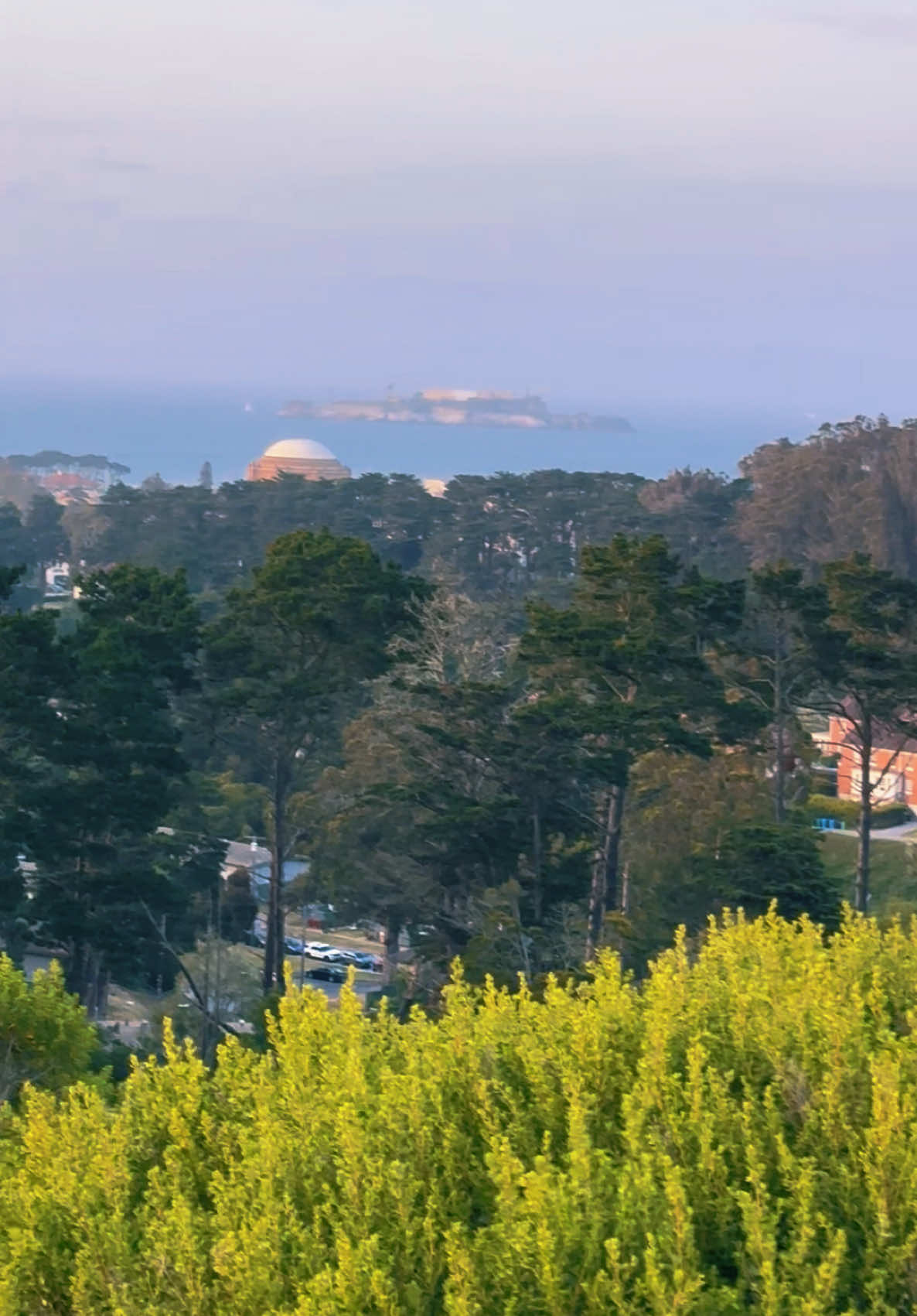 San Francisco को जंगलमा एक्लै घुम्दै #rockymagar17 #foryou #nepalitiktok #usa🇺🇸 #fyp #foryoupage #usa_tiktok #tiktokuserslover #creatorsearchinsights #tiktok #california #tiktok #view #trending #rokaboutiquellc 