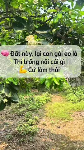 Nhiều người gàn lắm, tự dưng không muốn sướng lại muốn khổ. Đất cỏ mọc tràn, lại con gái không biết làm vườn… Thôi thì cứ làm thôi, chắc gì là không thể, nhỉ các chị? #lamvuon #trongrau #bophoveque #kinhnghiemlamvuon #gaipholamvuon 