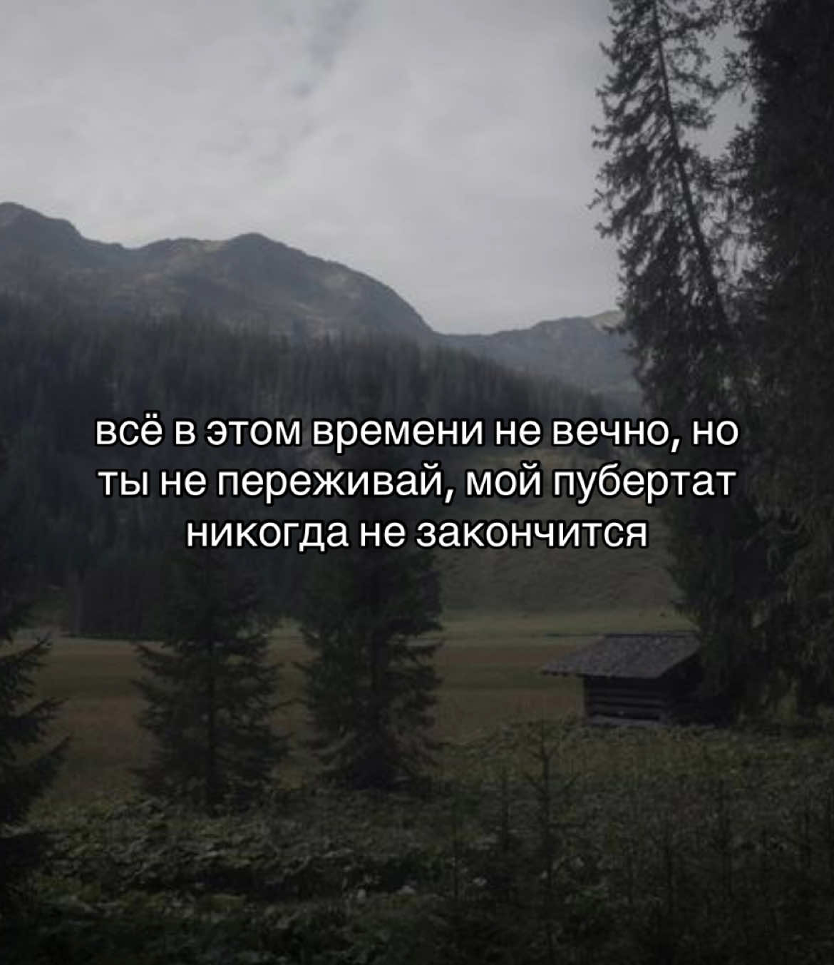 #щп #щитпост #любовь❤ #fypシ゚ #рекомендации #цитаты #on #подкаты #вайб 