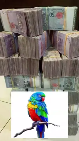 Bismillah gadis qs berkongsi rezeki #gadisdesa #gadisqs #gadisqsofficial #gadisdesa #gadiskampung #gadiskampung1904 #cikgushaari #cikgushaariofficial #shaaridiamond #lucky #diamondchallenge #luckycouple #meetariking #rapidklmalaysia #gombak #kehidupanygkeras #kedah #samlim #samlimm #samlimmm #samlimmmmm #saifsamoffical #pinnyangplscollab #skintificmy #janjikotaktakkosong #pandaeyes #pandaeyeslover #fyp #fypシ゚ #foryou #foryoupage #malay #melayu #malaysiatiktok #malaysia #viralmalaysia #tiktokmalaysia #tiktokmalaysia #gadisjejakaofficial #gadisjejakaofficial #berkongsirezeki #berkongsirezeki #tiktokmalaysia #tambunancrew_sabah #fypシ゚ #viral #masukberandafyp #TAMBUNAN #foryoupage #viraltiktok #tiktokviral #tiktok #viralvideostiktok #viraltiktok #berkongsirezeki #fyp #foryoupage #gadisjejakaofficial #sabunluffa #luffascrubsoap #sabunluffascrubwangi #viralvideos #support_me #fypシ゚foryoupage #fyp 