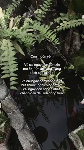 …#tamtrang #story 