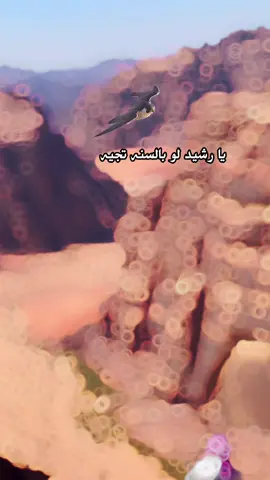 #هجيني #بن _سابل#بادي #ديار #حسمى 