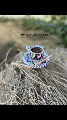 قهوتي بصحبة الطبيعة، سكون وصباح دافي من قلب الأرض ☕🌿 #صباح_القهوة #تونس_الجميلة #قهوة_الصباح #طبيعة_تونس #هدوء_الريف #ibtissem_photography1
