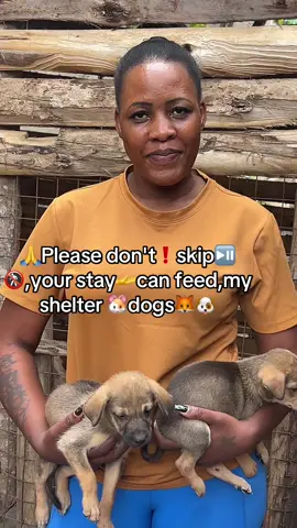 This sweet dog is in urgent need of surgery. She was rescued from the street in pain and needs your help to heal. Please support us with any amount. Her life depends on it. Every donation matters. Hashtags: #DogInNeed #EmergencySurgery #HelpStrayDogs #DogRescueUganda #DonateForDogs #AnimalWelfare #SaveStrayDogs #SupportAnimalShelters #UgandaDogRescue