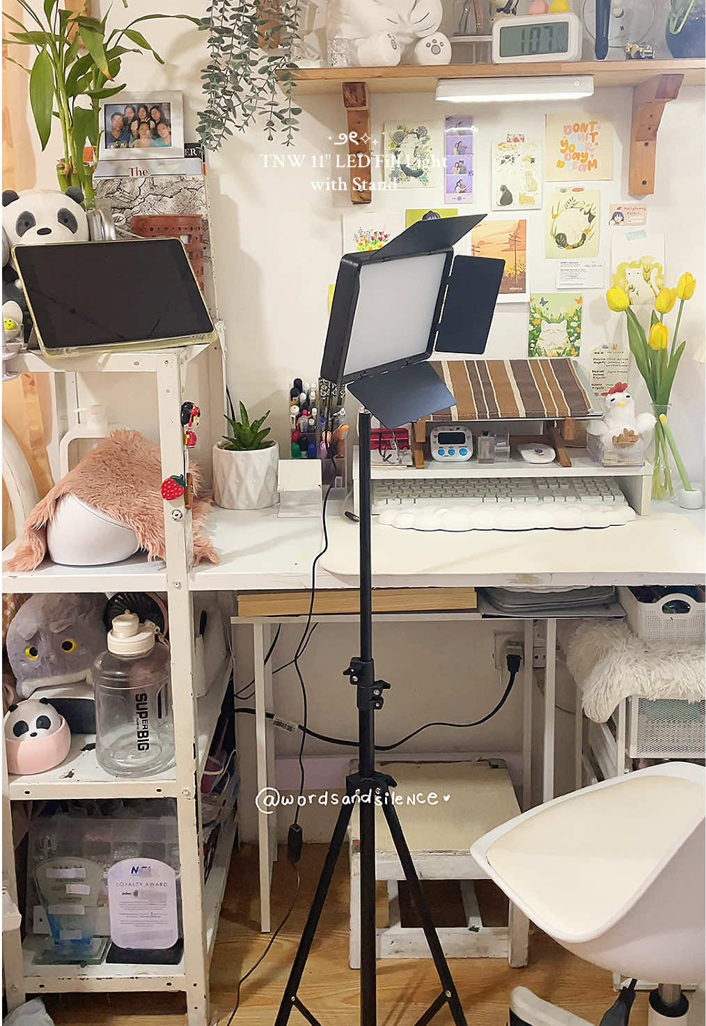 Light up every moment with the TNW 11