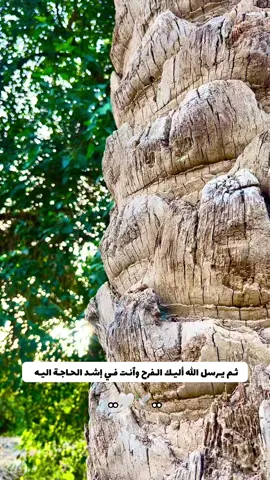 #جزء 39 #تصويري📷 #تصويري_احترافي_الاجواء👌🏻🕊😴 #عباراتكم_الفخمه📿📌 #لايك_متابعه_اكسبلور #منتظر 