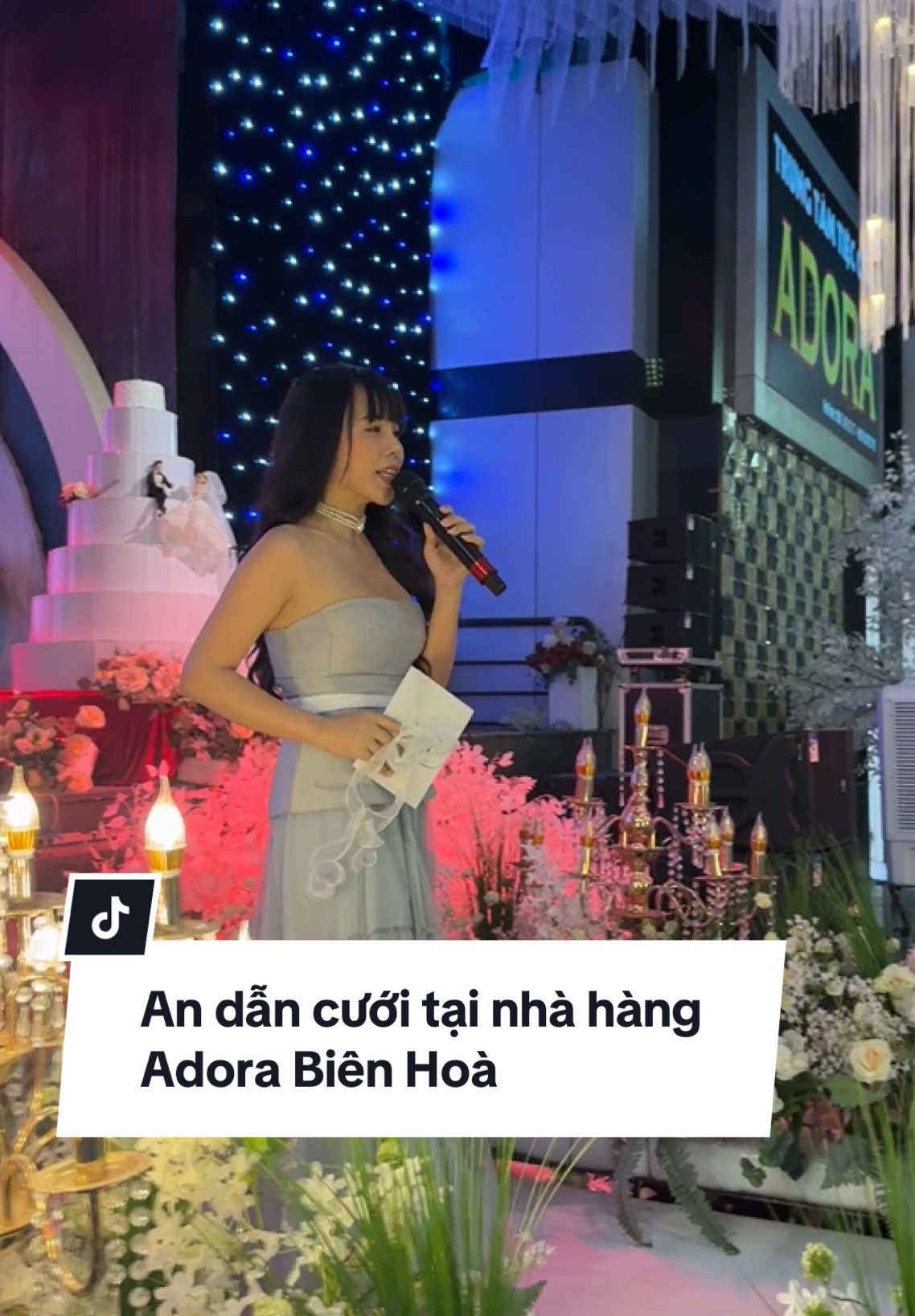 An dẫn cưới tại nhà hàng  Adora Biên Hoà #trieumyan #mcmyan #daotaomc #xuhuong #vows #mcdancuoi #nguoikechuyencuoi #andancuoi 
