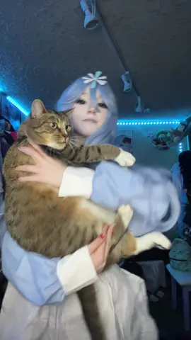 Eunoia owns a cat named pepper canon #fyp #コスプレ #foryoupage #eunoia #eunoiadreamgamecosplay #eunoiafrozensoul #eunoiadreamgame #dreamgame #frozensoul #dreamgamecosplay #roblox #robloxfyp #robloxdreamgame #robloxcosplay 