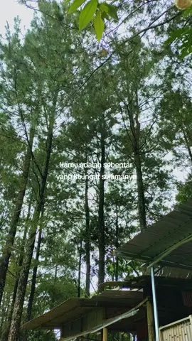 Hai nak,apakabar kamu di atas sana🥺#kehilangananakpertamaku #anaksurgaku  #rinduanaksurgaku❤️ 