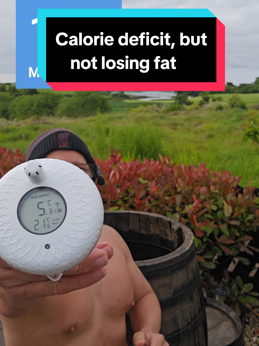 Calorie deficit but not losing fat #coldplunge #motivation #health #nutrition #budgysmuggler 