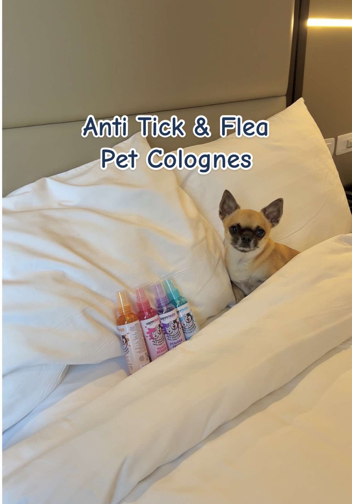 Anti-tick & flea pet colognes #LuxeEssentials #LuxeEssentialsPH #PetCologne #PetEssentials #discoVeiries #dvms #dogsoftiktok 
