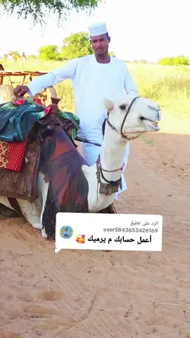 #البل #مليون_مشاهدة❤ #CapCut #foryoupage❤️❤️♥️❤️‍🔥✨💯😎💙 @عبدو علي رابح ال رابح 919 @الشفيع الدار حامدي
