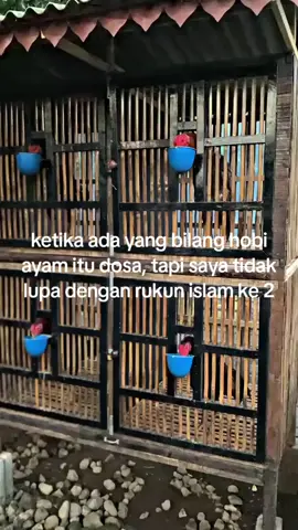 #fyp #ayambangkok #storywaayambangkok #storywa #fypage #4u #support 