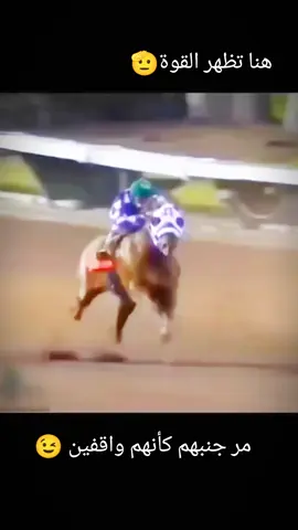 شاهد قوة الحصان مر جنبهم كأنهم واقفين ❤️ #خيل_وخياله🐎 #خيل_عربي_اصيل #الخيل_من_خيالها #سباق_خيول  #fyp 