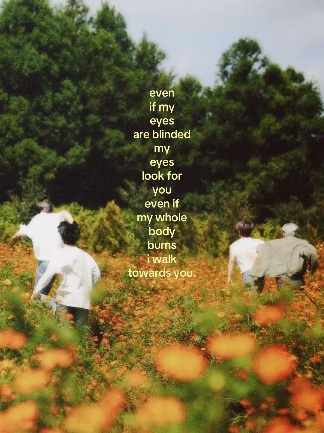 #NI_KI — i live for his part omggg #enhypen #engene #nishimurariki #lyrics #blind #orangebloodenhypen #trend #fyp #viral 