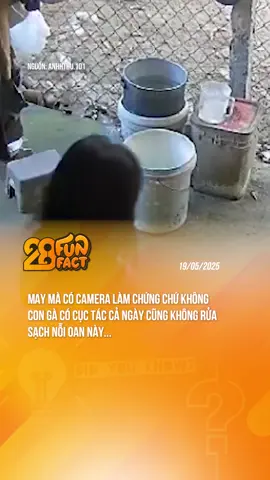 THÂN CHƯA MÀ GIỠN KIỂU VẬY  #theanh28news #theanh28funfact #tiktoknews #theanh28