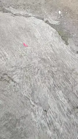 mask off f*cking mask off #fyp #supermoto #lagutrend #crf150l #supermotoganteng #supermotoindonesia 