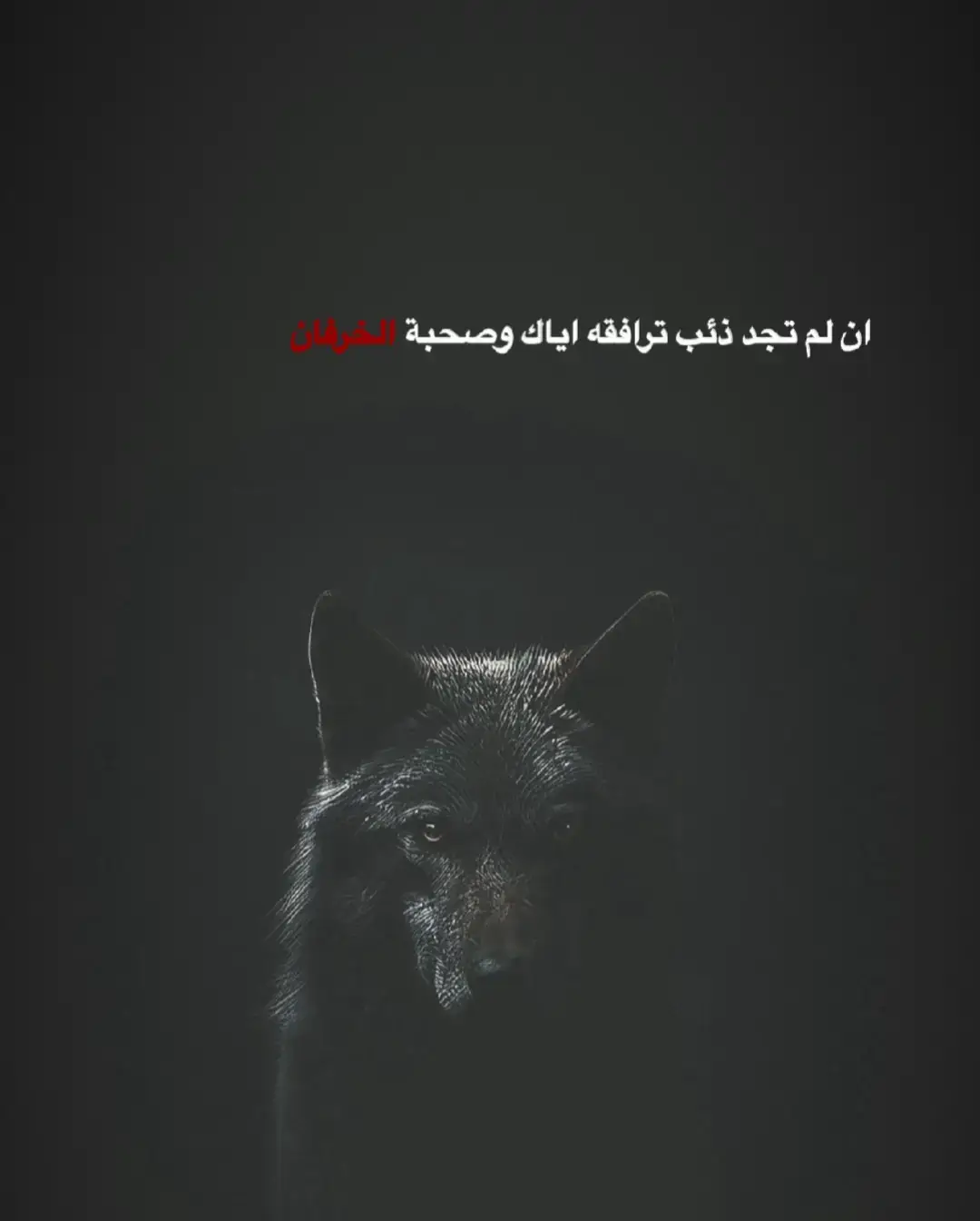 #عبارات_جميلة_وقويه😉🖤 #عباراتكم_الفخمه📿📌 #اقتباسات📝 #خواطر #تصميمي🎬 