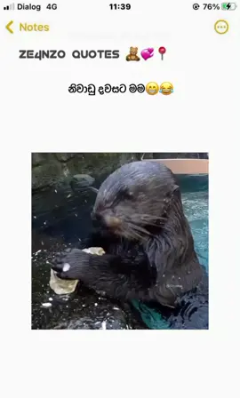 😂🫂 #마두샨 쿠마르🌬️ #Zeanzo_xX👑  #Shan_bear_🧸💗 #foryou  #foryoupage #wadan #sinhalaquotes #Zeanzo_status2k24 #whatsappstatus #1millionaudition #vralvideo #growmyaccount #fyp #quotesedit✍ #capcut #capcuteffect #Zeanzo_templates_👑 #srilankan_tik_tok🇱🇰 #Capcutedit🎬 