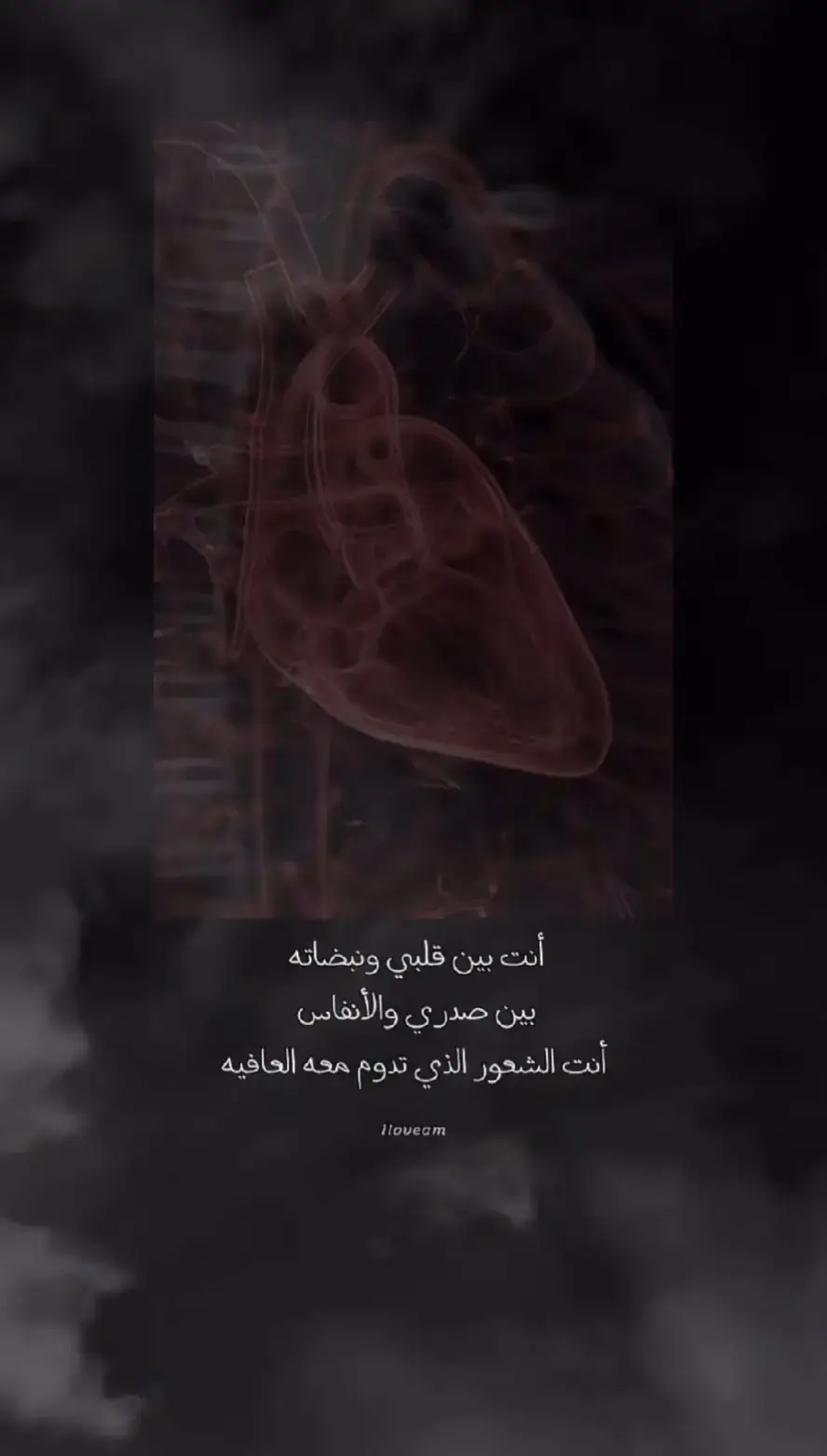 🤍❤️❤️🤍