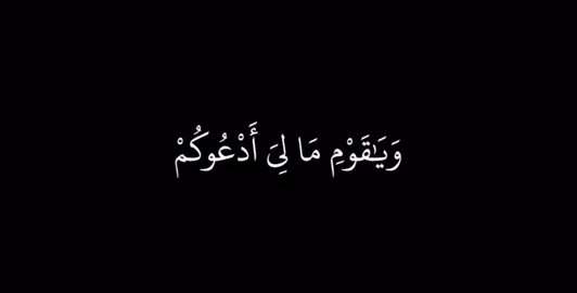#quran #قران_كريم #تلاوة_خاشعة #ابوبكر_الشاطري 