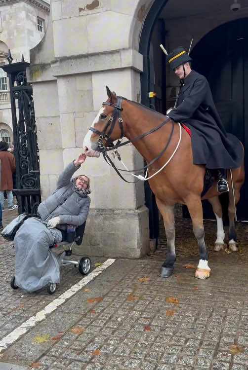 Heartwarming moments for the king’s Guard and people with disabilities #kings #horseguards #kingsguard #horses #horseguardsparade #respect #britishtradition #foryou #foryoupage 