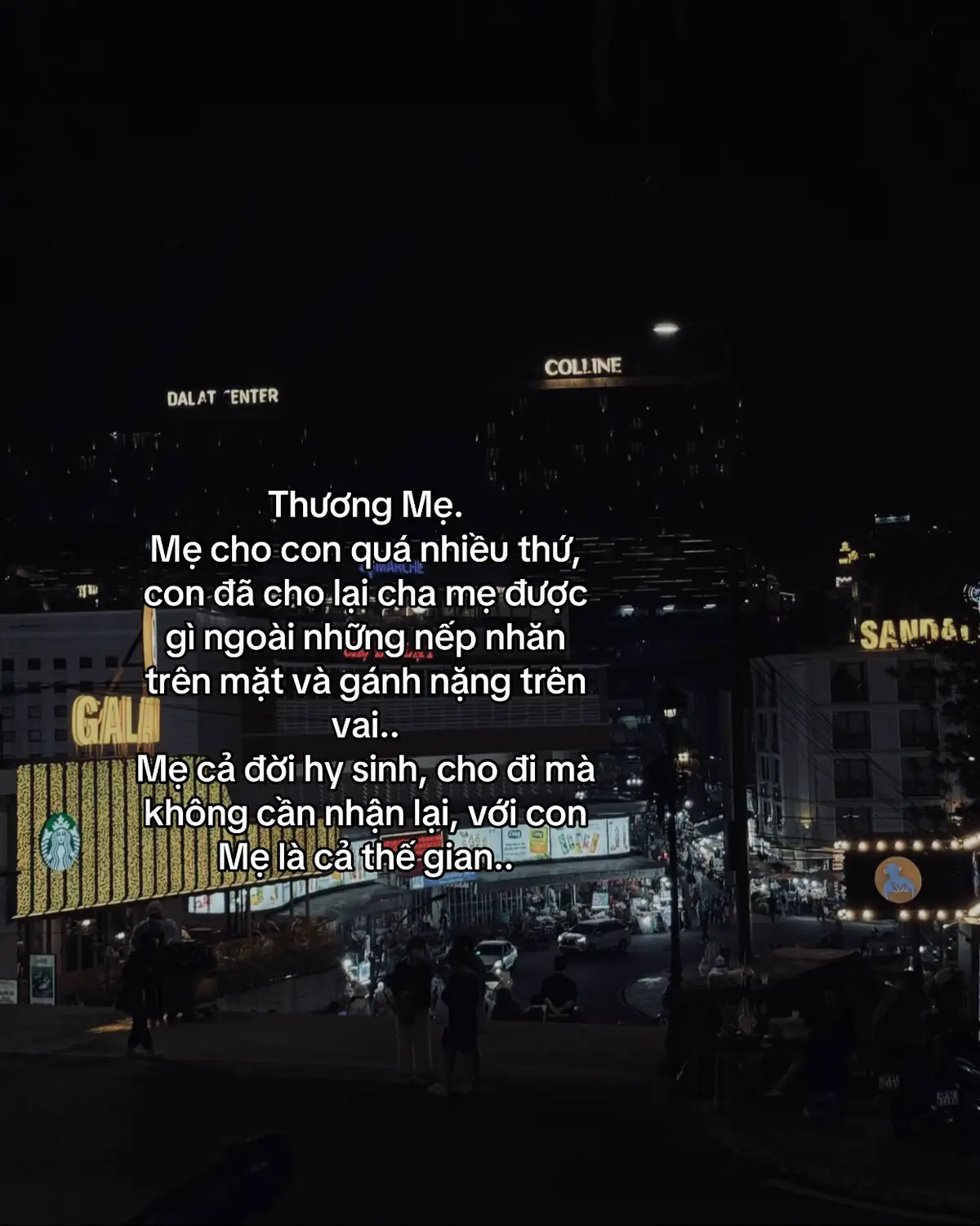 #pvd_van204 #xuhuong #tamtrang 