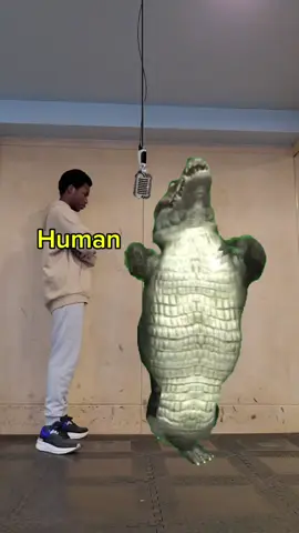Human Vs. Hyper Croc... TRACK 2 - GET HYPER BY DROIDEKA