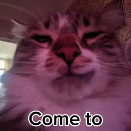 MOST REQUESTED 💔 (my throat hurts💔)#philippines #cringe #fyp #fyppppppppppppppppppppppp #fyp #cats #anime #fyp #cringe 