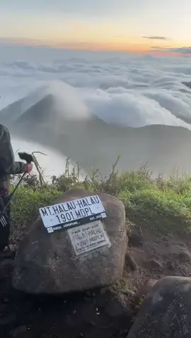 sunrise halau-halau#halauhalau1901mdpl #atapkalsel #sunrice #pendakifomo #fyp 