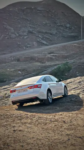 كـلـبـي يـمـه كـلـبـي يـمـه يـمـه كـلـبـي شـبـي كـلـبـي 🐇