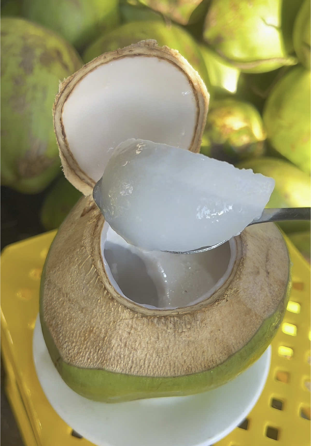 Rau câu dừa xiêm trái #22 🐠🐠 chất lượng- ngon - bổ - hạt dẻ #raucau #dừa #mónngonmỗingày #nấuăncùngtiktok #xuhuong #2025tiktok  #fytiktok 