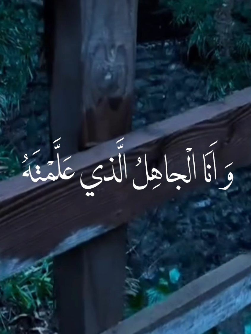 سَيِّدي اَنَا الصَّغيرُ الَّذي رَبَّيْتَهُ #دعاءالصباح  #اباذار_الحلواجي  #مهدي_سماوتي  #vrial  #اكسبلور 