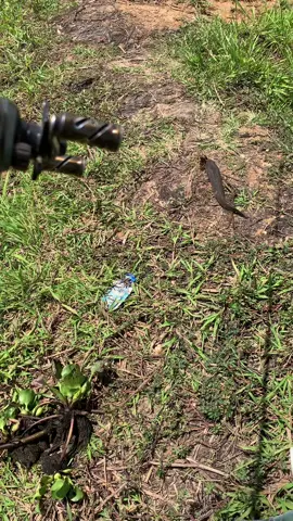 ជាតិ😅😆