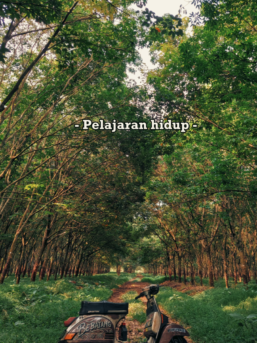 Laki-laki dengan ketenangannya. #vespa #forest #alone #green 
