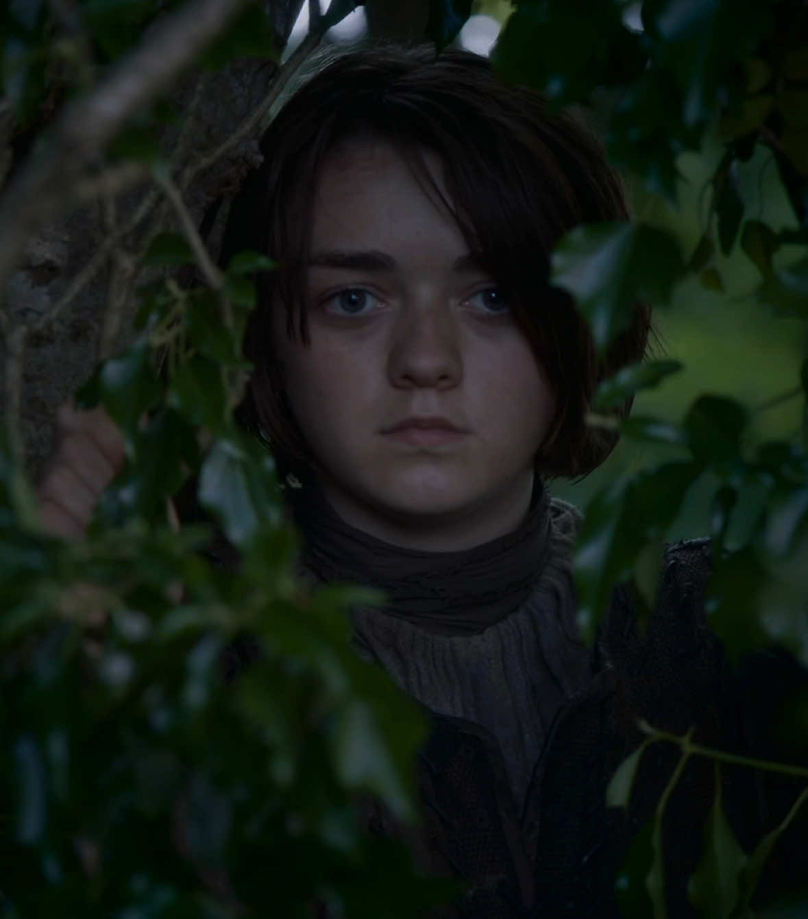 تعليقات انقليزية لاهنتو #sandorclegane #thehound #gameofthrones #got #aryastark @76 