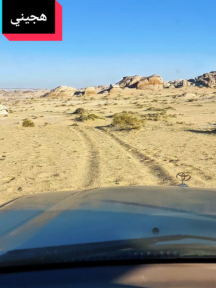 هجيني#أكسبلور #هجيني #الشاعر_عناد_سابل_العنزي #ترند_تيك_توك #تبوك #ترند_جديد #هاشتاق #تيما #الشمال #شيلات #قصيدة_شعر_أبيات 