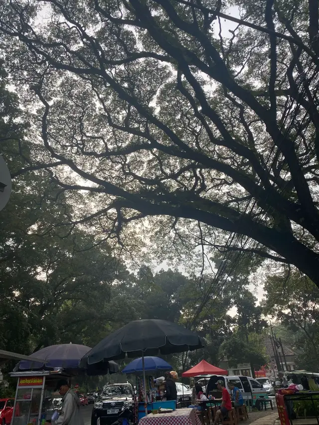 draft #picture #random  