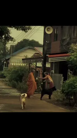 ធ្វើតែល្អទៅ ការធ្វើនូវអំពើល្អគឺនាំឲយើងជួបអ្វីដែលល្អ និងរឿងល្អៗក្នុងជីវិត.🤍 #ទាន #ការធ្វើទាន🙏🙏🙏 #buddhis #ដាក់បាត្រព្រះសង្ឃ 