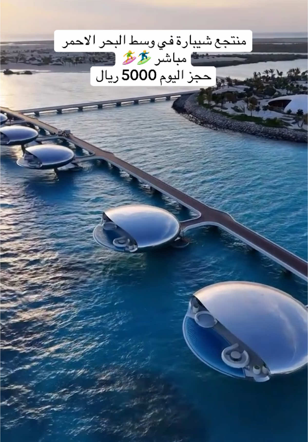 الموقع منتجع شيبارة🤩🤍#شيبارة #shebara #جزر_البحر_الاحمر #منتجع_شيبارة #املج_مالديف_السعوديه #منتجعات_السعودية #سياحة_السعودية #جزيرة_شيبارة #جزيرة_البحر_الاحمر #منتجعات #fyp  #اكسبلور #tiktok #explore  @منتجع شيبارا البحر الاحمر 🏖️ 